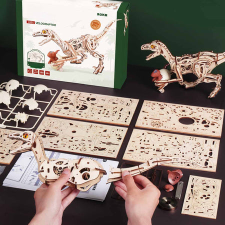 Eine Person baut den Robotime Velociraptor