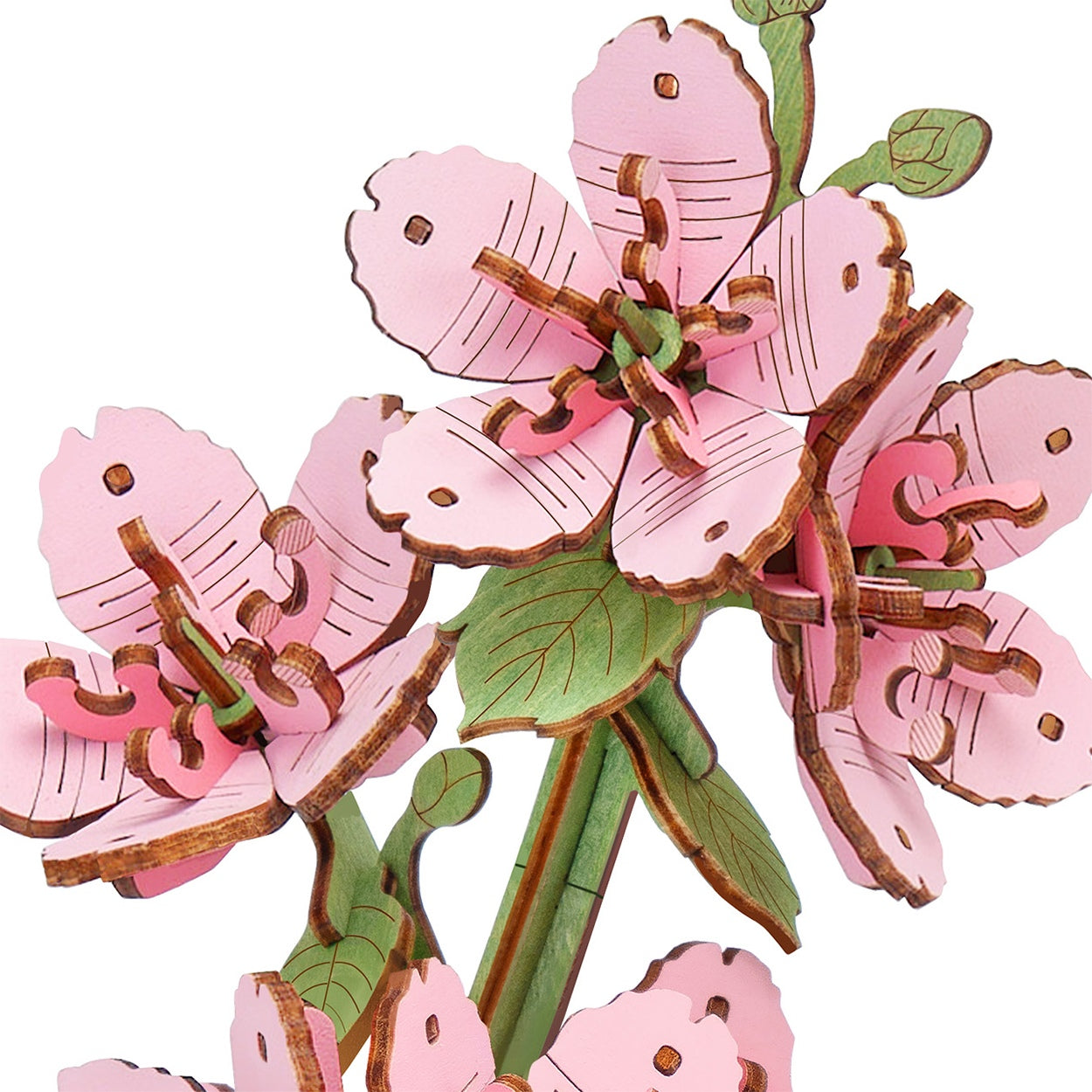 Nahaufnahme von drei Blumen im Robotime Sakura